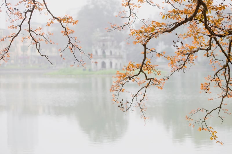 Vietnam Cultural Tour